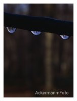 Tropfenwelt