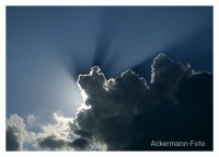 Lichtblick
