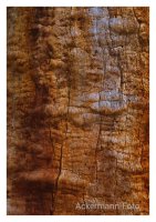 Holzlandschaft