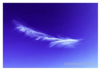 Wolkenfeder