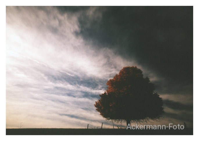 Herbstleuchten