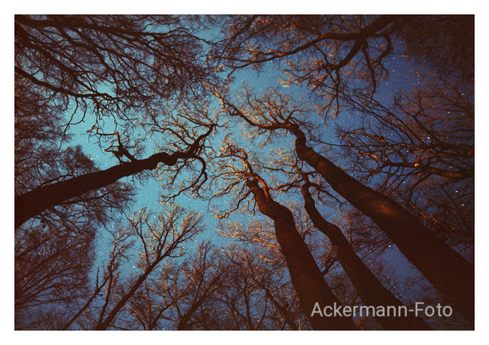 Im Licht von Mond und Sternen