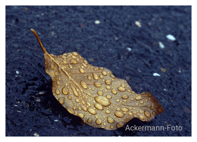 Nach dem Regen